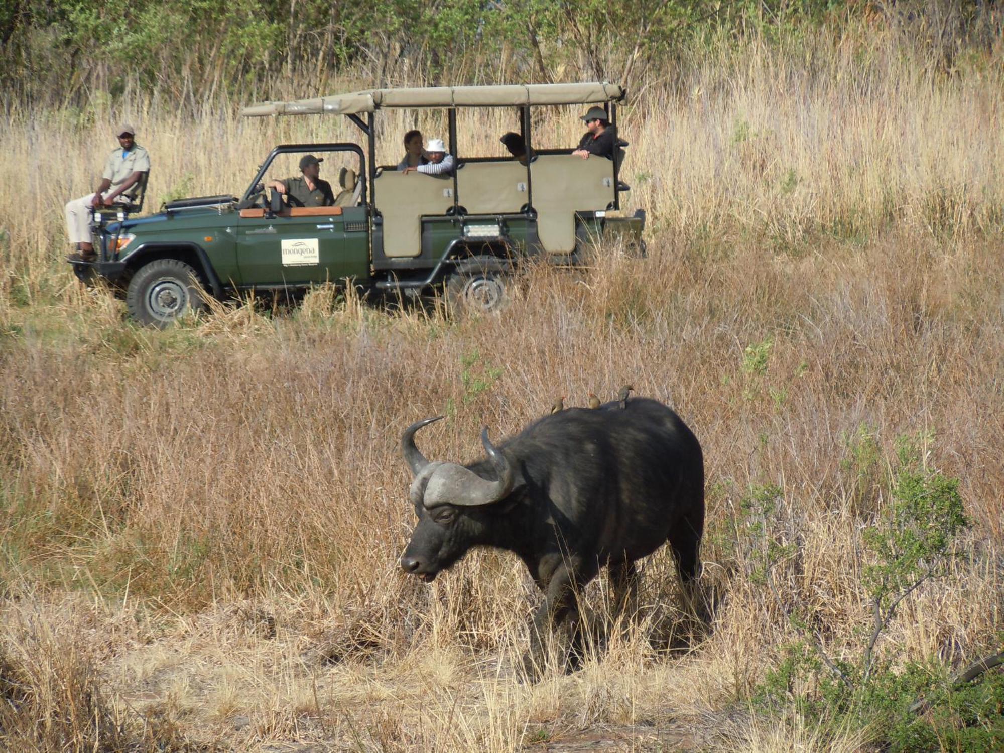 Little Mongena Tented Camp Klipdrift 外观 照片